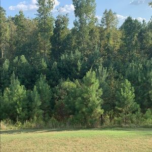 Meet your Posher, Nate